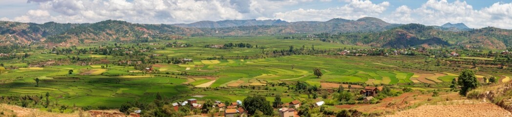 View of the rice fields in Betafo near Antsirabe, madagascar