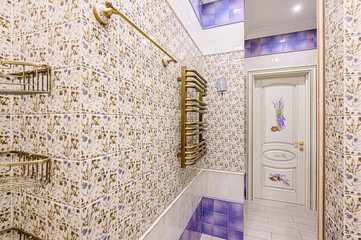 interior apartment room bathroom, sink, decorative elements, toilet. WC, sanitary unit, wash room