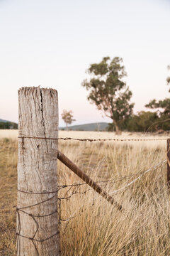 Strainer fence post in long grass on farm