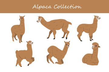 Alpaca. Collection of cute alpacas. Vector illustration
