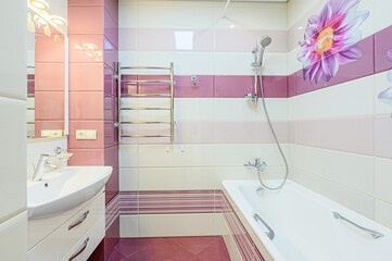 interior apartment room bathroom, sink, decorative elements, toilet. WC, sanitary unit, wash room