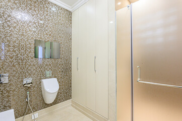 interior apartment room bathroom, sink, decorative elements, toilet. WC, sanitary unit, wash room