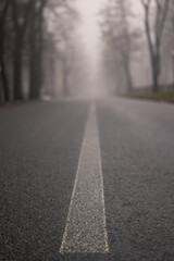 Road on a foggy morning