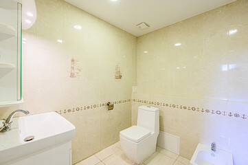 interior apartment room bathroom, sink, decorative elements, toilet. WC, sanitary unit, wash room