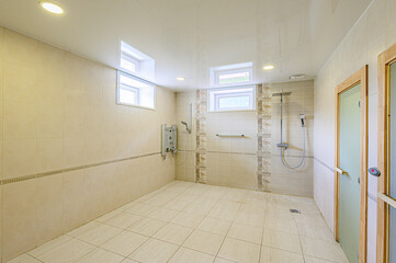 interior apartment room bathroom, sink, decorative elements, toilet. WC, sanitary unit, wash room