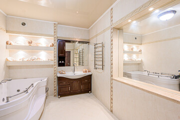interior apartment room bathroom, sink, decorative elements, toilet. WC, sanitary unit, wash room