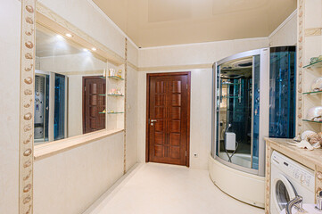 interior apartment room bathroom, sink, decorative elements, toilet. WC, sanitary unit, wash room