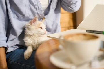 Young smiling woman in cafe with cute small cat sitting at table with laptop, female freelancer online work concept, attractive girl freelancer working in cafe with cat helper.