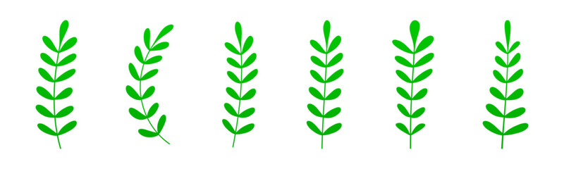 Green branches set. Floral brenches set. Floral botanical line art. Decorative leaves.