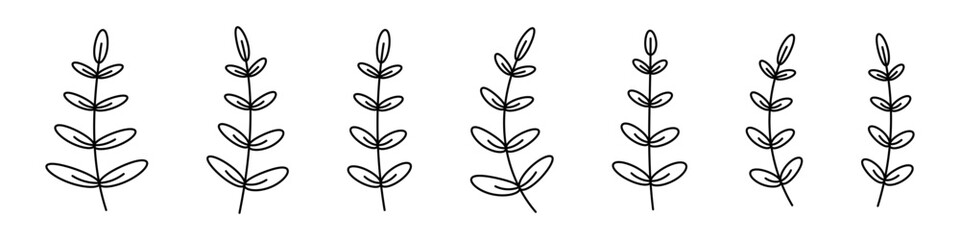 Branches set. Floral brenches set. Floral botanical line art. Decorative elements leaves.