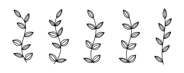 Floral botanical line art. Floral brenches set. Decorative elements leaves