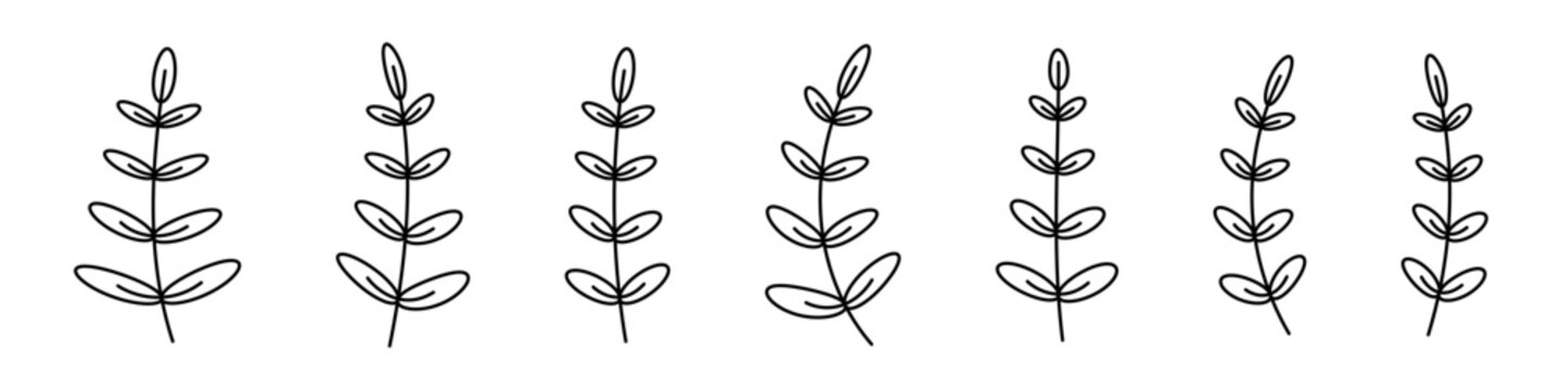 Branches set. Floral brenches set. Floral botanical line art. Decorative elements leaves.