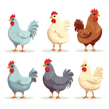 Set of poultry farm chicken birds. Hens cartoon vector illustration