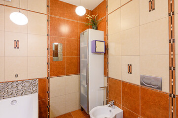 interior apartment room bathroom, sink, decorative elements, toilet. WC, sanitary unit, wash room