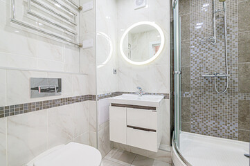 interior apartment room bathroom, sink, decorative elements, toilet. WC, sanitary unit, wash room