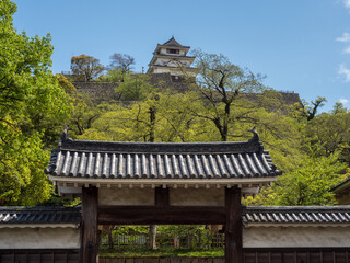 Rooftops of Marugame castle amid lush greenery in springtime - Kagawa prefecture, Japan