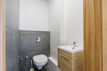 interior apartment room bathroom, sink, decorative elements, toilet. WC, sanitary unit, wash room