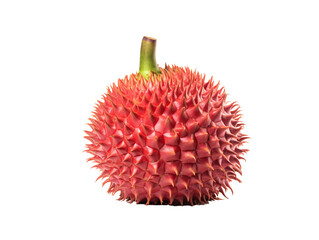 a red fruit with spikes