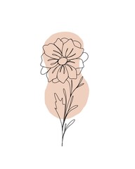 line art drawing of flowers. minimalism sketch, idea for invitation, design of instagram stories and highlights icons