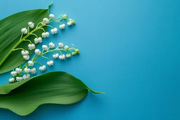 Foto op Canvas Lily of the Valley flowers on a green leaf left side blue background space for text Spring and summer theme © The Big L