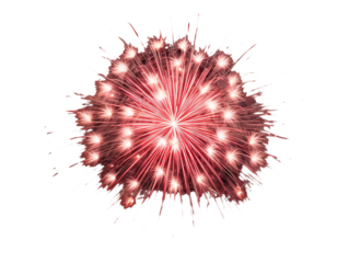 a fireworks exploding in the sky