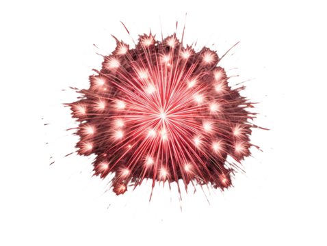 a fireworks exploding in the sky