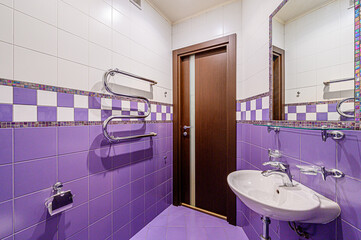 interior apartment room bathroom, sink, decorative elements, toilet. WC, sanitary unit, wash room