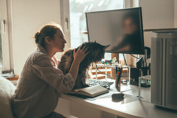 Work from Home with Feline Companion