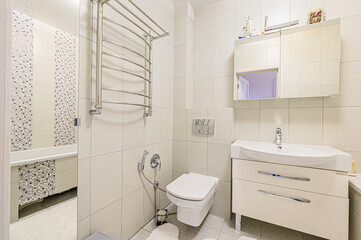 interior apartment room bathroom, sink, decorative elements, toilet. WC, sanitary unit, wash room