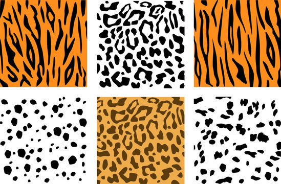Set of animal skin textures. Dalmatian, leopard and tiger pattern print texture square. Pattern of dalmatian, leopard spots and line tiger. Chaotic spots isolated on white.