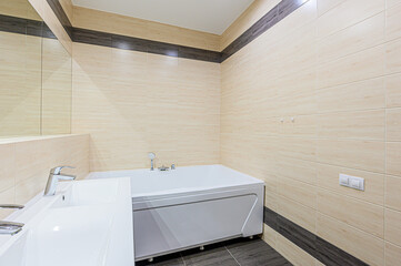 interior apartment room bathroom, sink, decorative elements, toilet. WC, sanitary unit, wash room