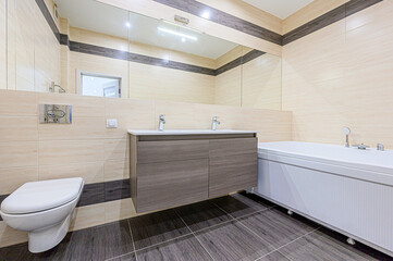 interior apartment room bathroom, sink, decorative elements, toilet. WC, sanitary unit, wash room