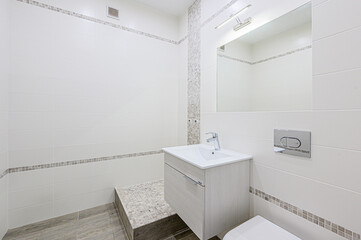 interior apartment room bathroom, sink, decorative elements, toilet. WC, sanitary unit, wash room