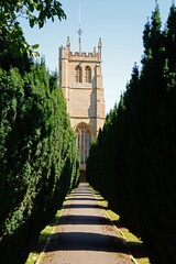 View along a pathway lined with conifers leading to All Saints church tower, Martock, Somerset, UK, Europe