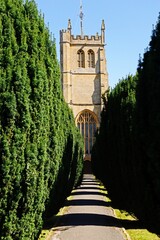View along a pathway lined with conifers leading to All Saints church tower, Martock, Somerset, UK, Europe.