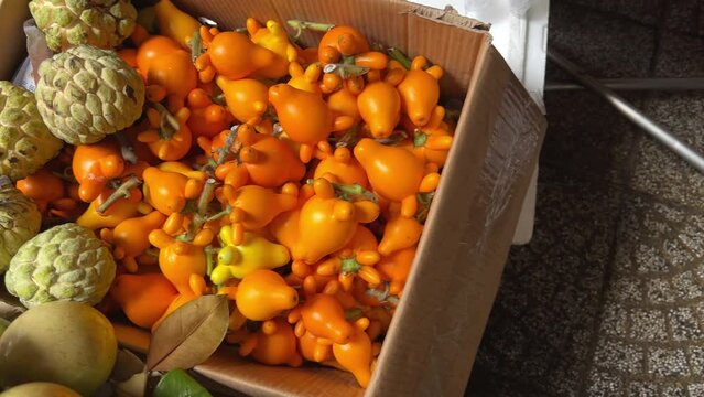 Strange bright orange in Vietnam during New Year's Sold on the street on the ground in boxes by traders at the market Before the New Year tet