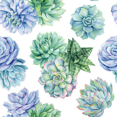 Tropical Exotic Watercolor succulent seamless pattern. Flora Texture with tropical green plant. Summer garden background