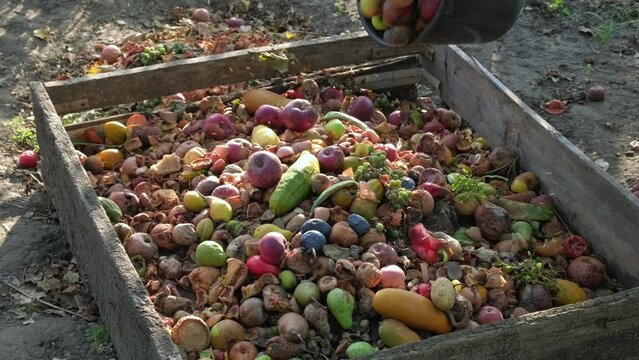 Bio-waste recycling. Compost bin with organic waste. Bio food waste composting bin. Biodegradable material, organic recycling concept. Separate waste collection