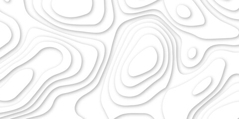 Abstract white wavy line 3d paper cut white background. abstract white background with smooth wavy layers. silver grid map line topography mount contour map .