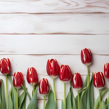 Tulips on wooden painted into white background, photo generated with AI. Festive card design , free space for text