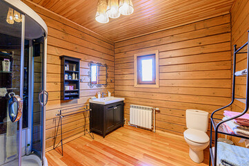 interior apartment room bathroom, sink, decorative elements, toilet. WC, sanitary unit, wash room