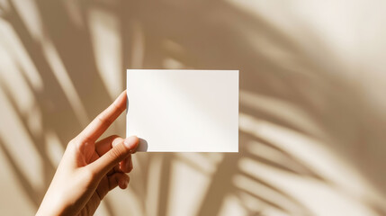 Aesthetic mockup. Woman hand holds a white blank on light backdrop with sun rays and strong shadows. Generative AI