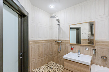 interior apartment room bathroom, sink, decorative elements, toilet. WC, sanitary unit, wash room