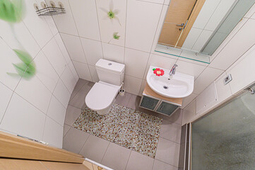 interior apartment room bathroom, sink, decorative elements, toilet. WC, sanitary unit, wash room