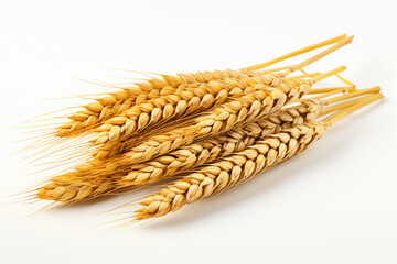Wheat flour and wheat ears on white background. Shallow dof.