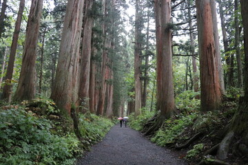 戸隠神社、奥社の狛犬、長野、パワースポット