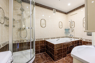 interior apartment room bathroom, sink, decorative elements, toilet. WC, sanitary unit, wash room