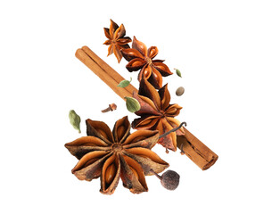 Different aromatic spices falling on white background