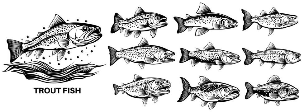 set collections trout fish icon monochrome logo design vector illustrations