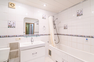 interior apartment room bathroom, sink, decorative elements, toilet. WC, sanitary unit, wash room